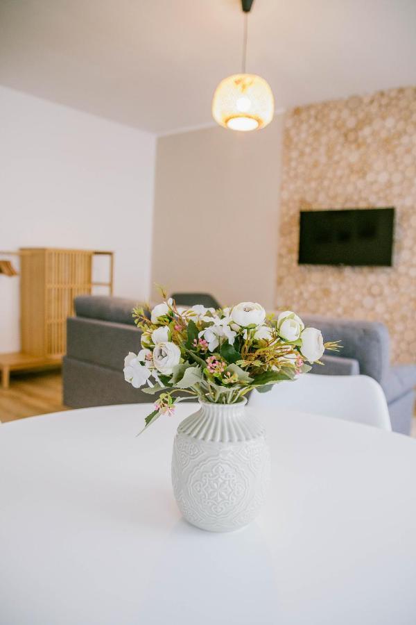Apartmany Hejdukovi Krásná Lípa Εξωτερικό φωτογραφία